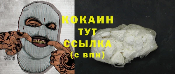 стаф Чекалин