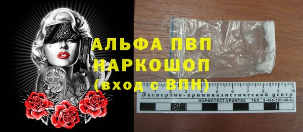 дживик Козельск