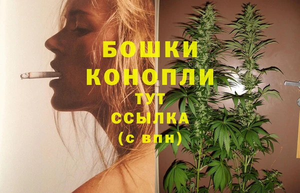 дживик Козельск