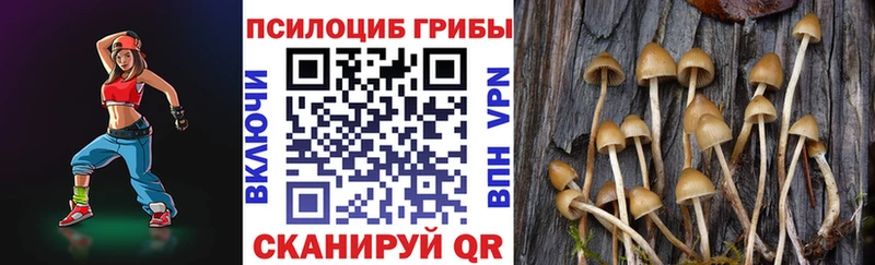 Галлюциногенные грибы прущие грибы  Владикавказ 